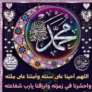 Meet your Posher, Shayma